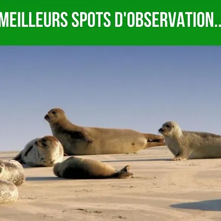 Les Couleurs Du Littoral Appartamento *