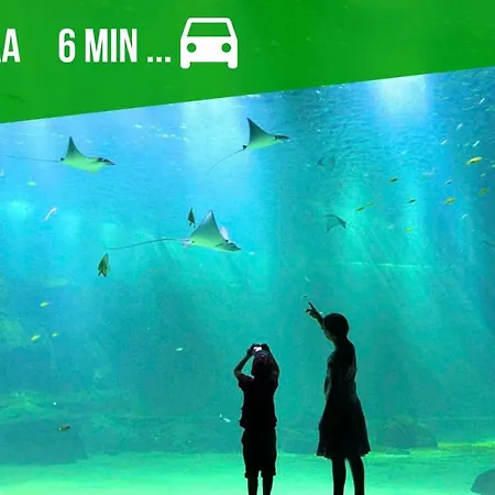 Les Couleurs Du Littoral Appartamento Boulogne-sur-Mer