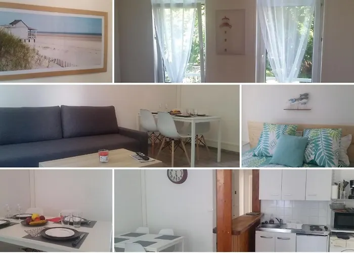 Appartement Les Couleurs Du Littoral