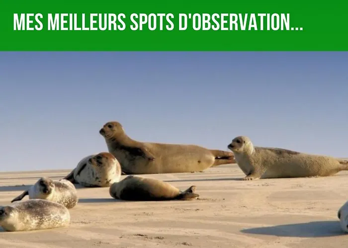 Les Couleurs Du Littoral Apartment *